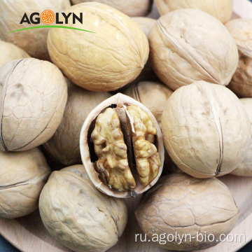 Продается новый Crop Xinjiang 185 Walnut.